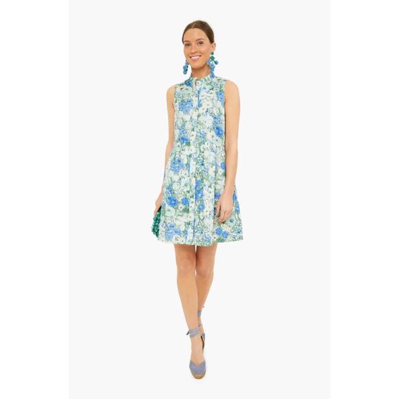 Tuckernuck Jardin De Fleurs Sleeveless Royal Shirt Dress - Picture 1 of 7